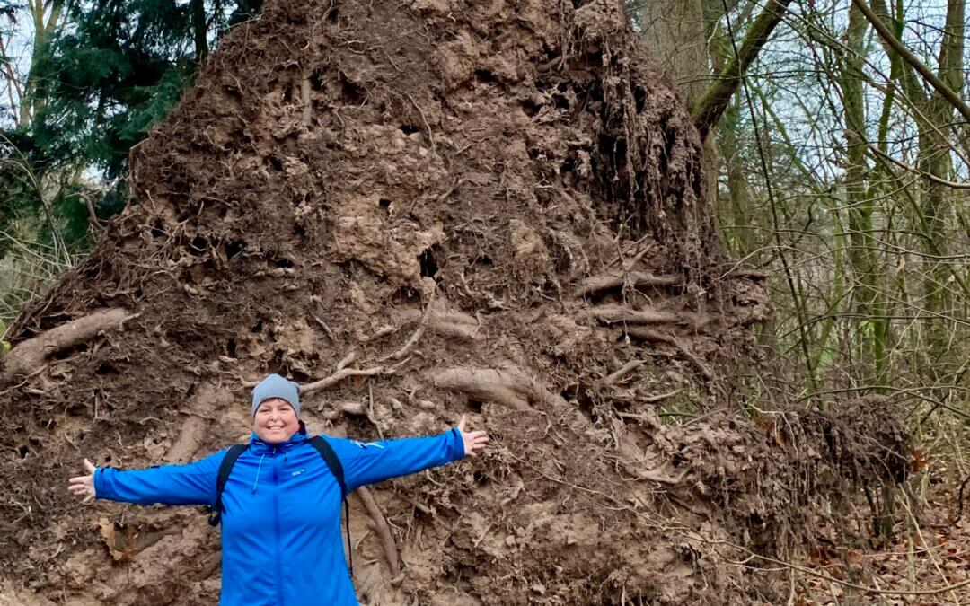 Wenn du kräftige Beine hast, stabile Knochen oder dich „gut verwurzelt“ fühlst – dann ist dein Erdelement stark.
