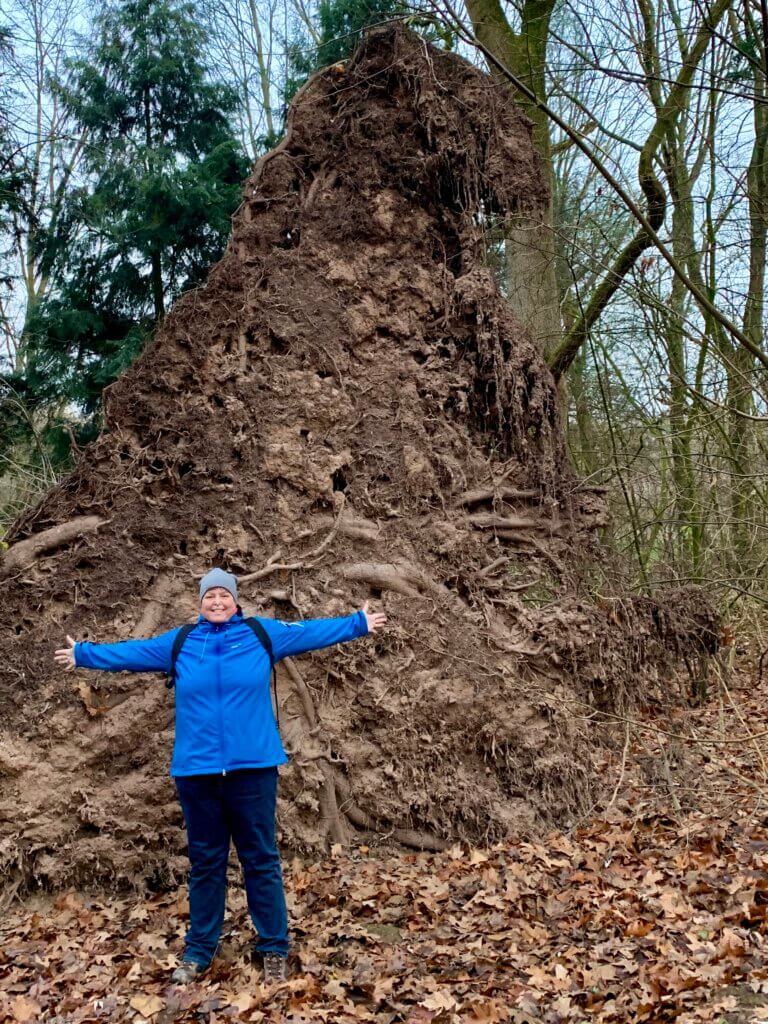 Wenn du kräftige Beine hast, stabile Knochen oder dich „gut verwurzelt“ fühlst – dann ist dein Erdelement stark.