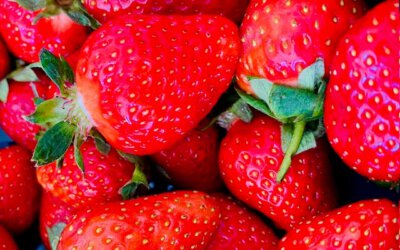 Erdbeeren im Ayurveda