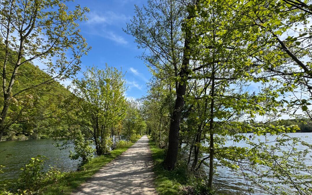 Natur im Mai. Hier in der Nähe von Schwerte, Hagen, Dortmund. Unterhalb der Syburg.