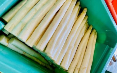 1 ayurvedisch inspiriertes Ostergericht für Kapha