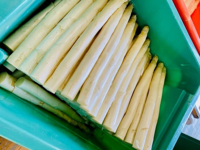 Spargel ist bereits ein hervorragendes Kapha-Gemüse, da er entwässernd wirkt, wenig Kalorien hat und sanft anregend auf den Stoffwechsel wirkt. Für Kapha-Typen darf das Essen gern leicht, aromatisch und etwas scharf sein – aber eben auch lecker und alltagstauglich. Hier ist ein neues, geschmacklich attraktiveres Rezept – moderner, ayurvedisch durchdacht, aber näher an der westlichen Küche: 🍋 Gerösteter Spargel mit Zitronen-Mung-Dressing & Quinoa-Crunch