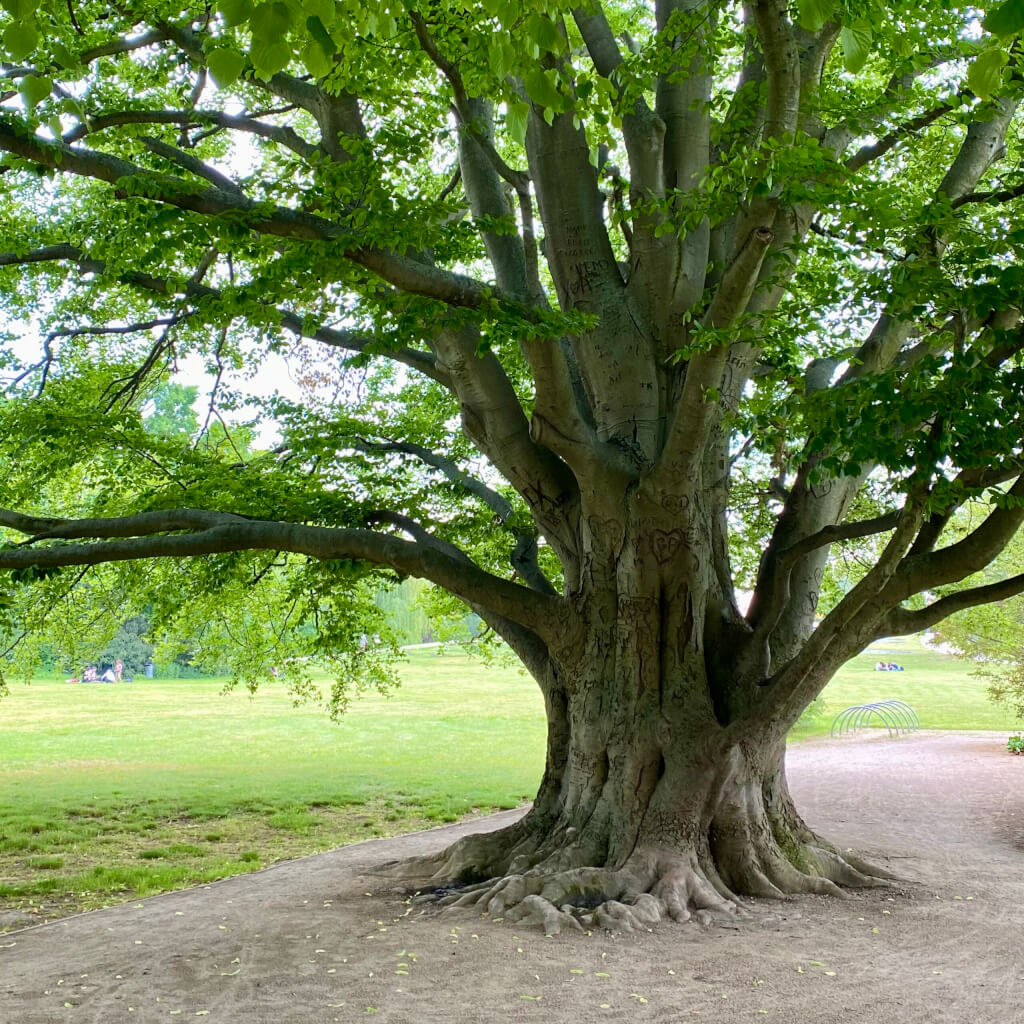 Erdelement Bedeutung
Du stehst mit beiden Beinen im Leben.
Du weißt, wer du bist.
Du wirst nicht so schnell umgeworfen.
